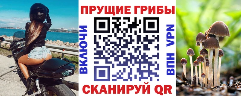 Галлюциногенные грибы мицелий  закладки  Людиново 